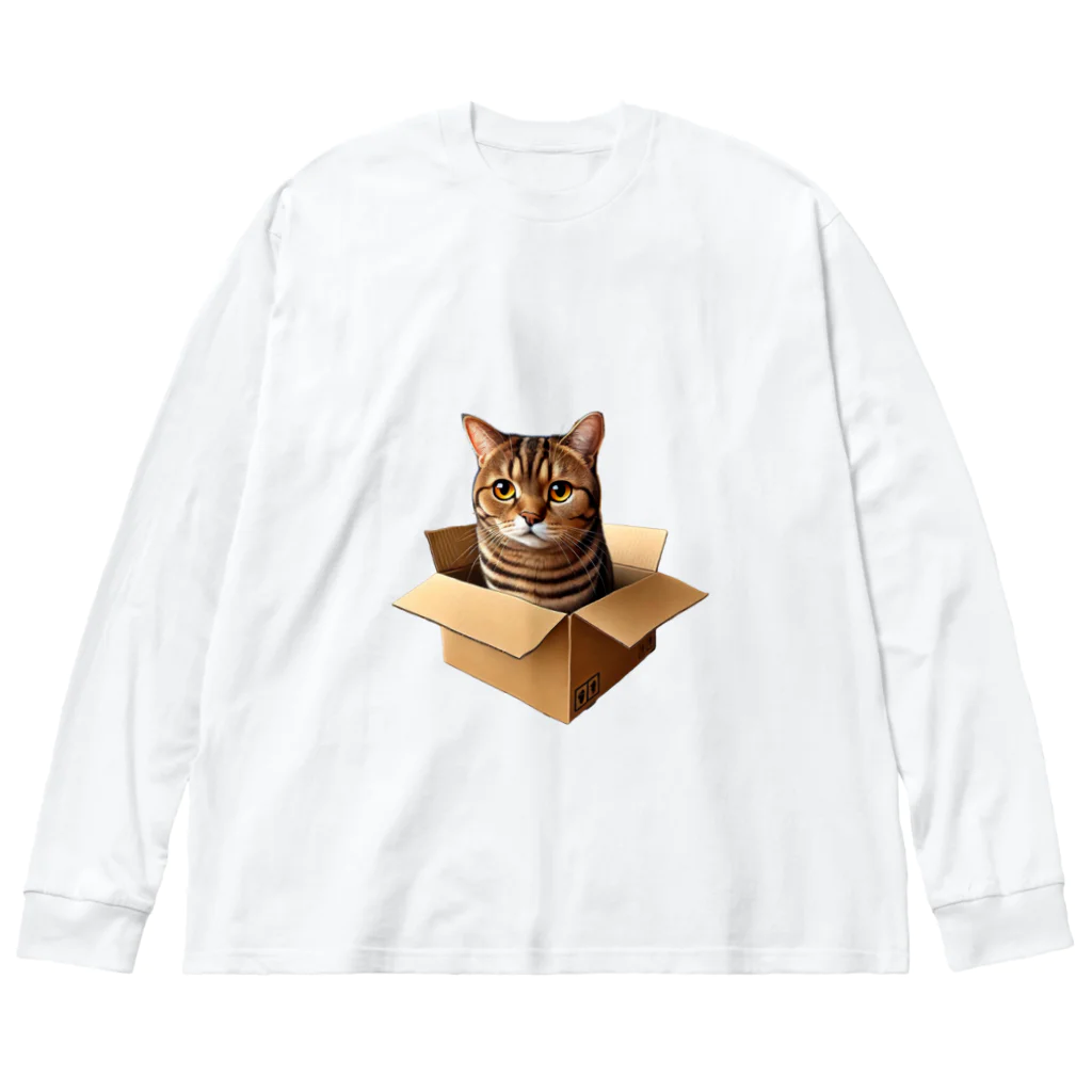 猫の小梅お嬢さんの小梅ちゃん　箱猫 Big Long Sleeve T-Shirt