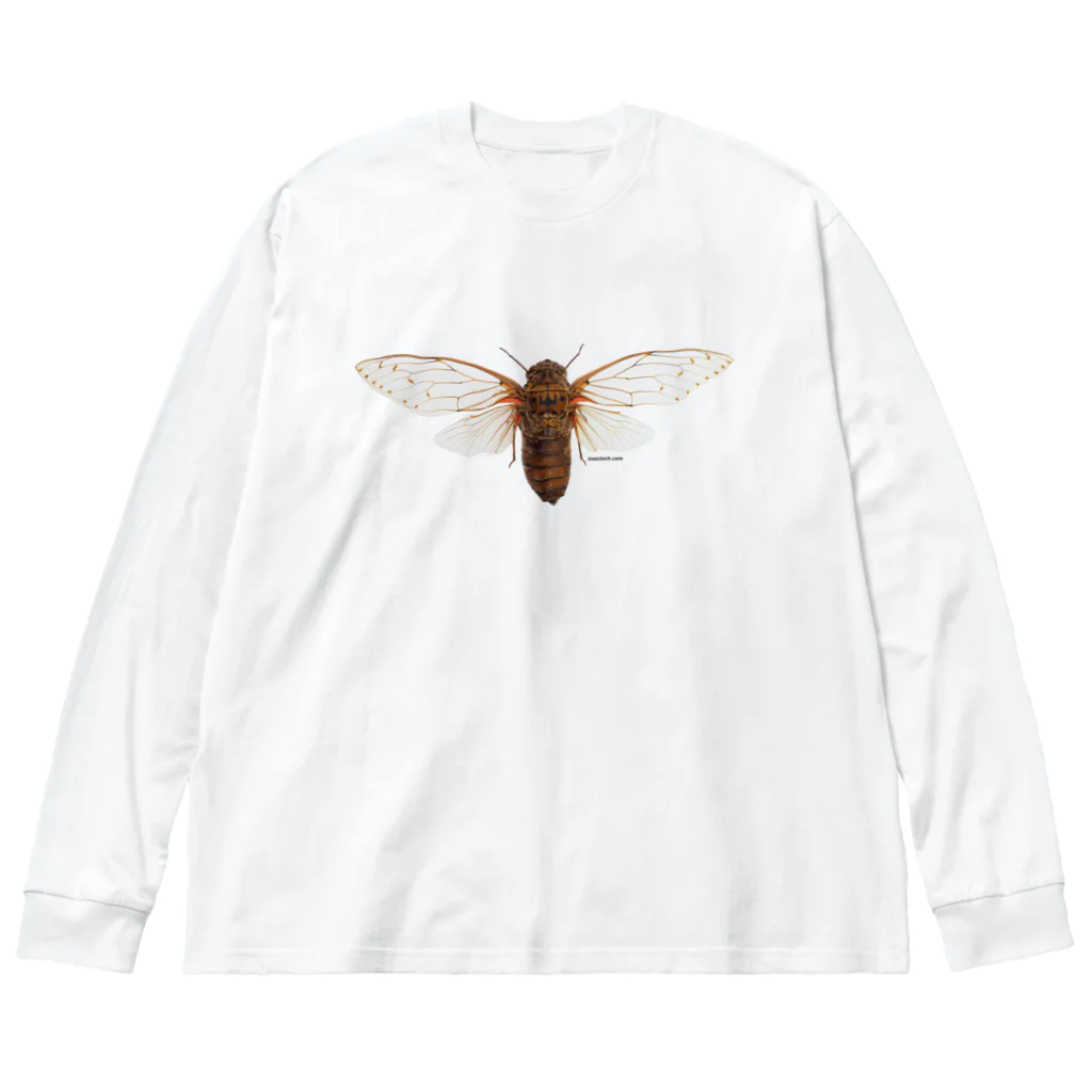 insectech.comのテイオウゼミ ビッグシルエットロングスリーブTシャツ