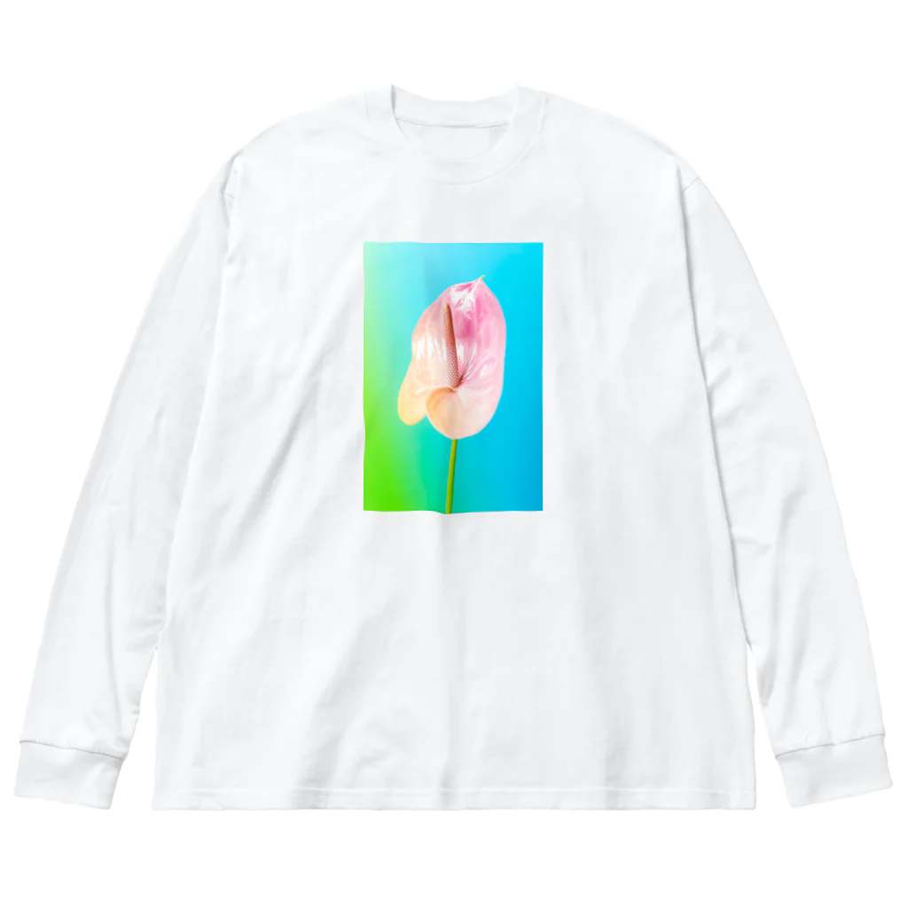 ShotaMiyakeの花の写真(アンスリウム) ビッグシルエットロングスリーブTシャツ