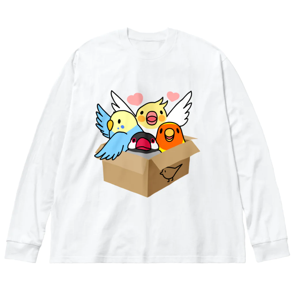 まめるりはことりの拾ってくださいインコ【まめるりはことり】 ビッグシルエットロングスリーブTシャツ