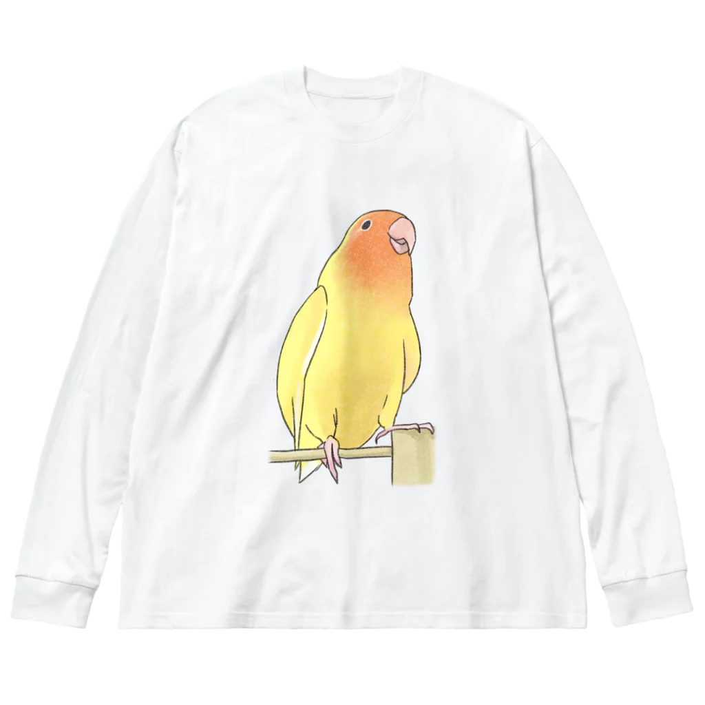 まめるりはことりの得意げ可愛い　コザクラインコちゃん【まめるりはことり】 ビッグシルエットロングスリーブTシャツ