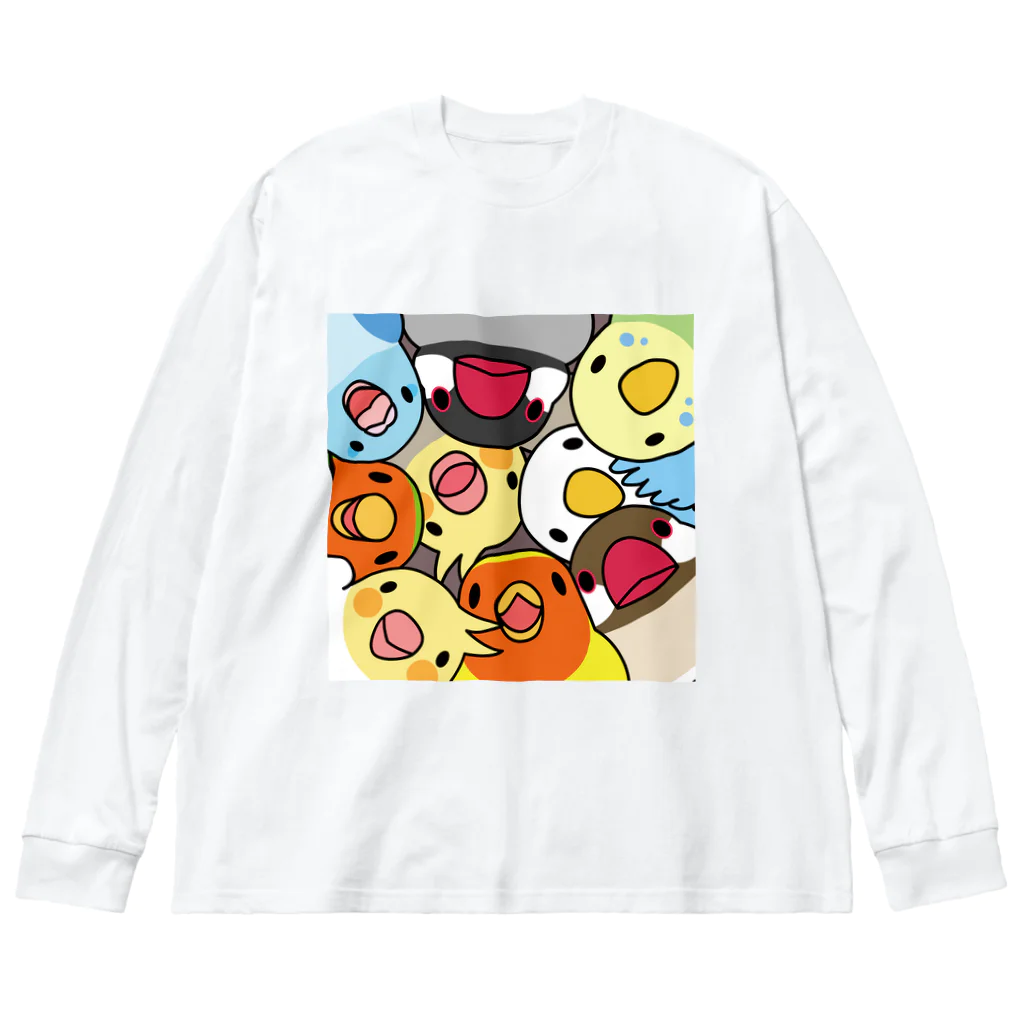 まめるりはことりのみっちりむっちり過密鳥まみれさん【まめるりはことり】 Big Long Sleeve T-Shirt