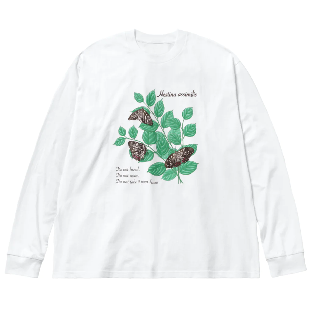 kitaooji shop SUZURI店のアカボシゴマダラとエノキ ビッグシルエットロングスリーブTシャツ