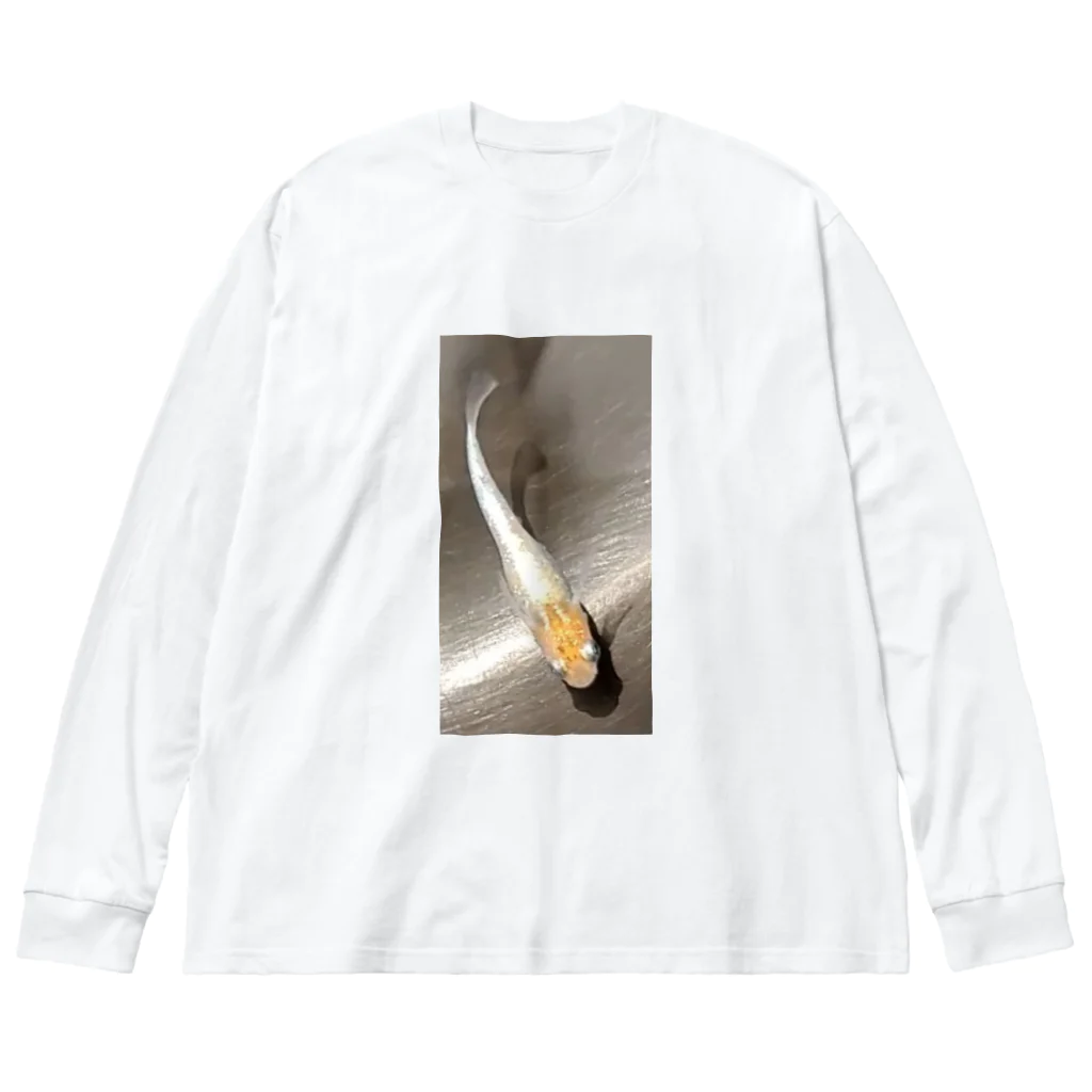 m-d-kの煌　めだか Big Long Sleeve T-Shirt