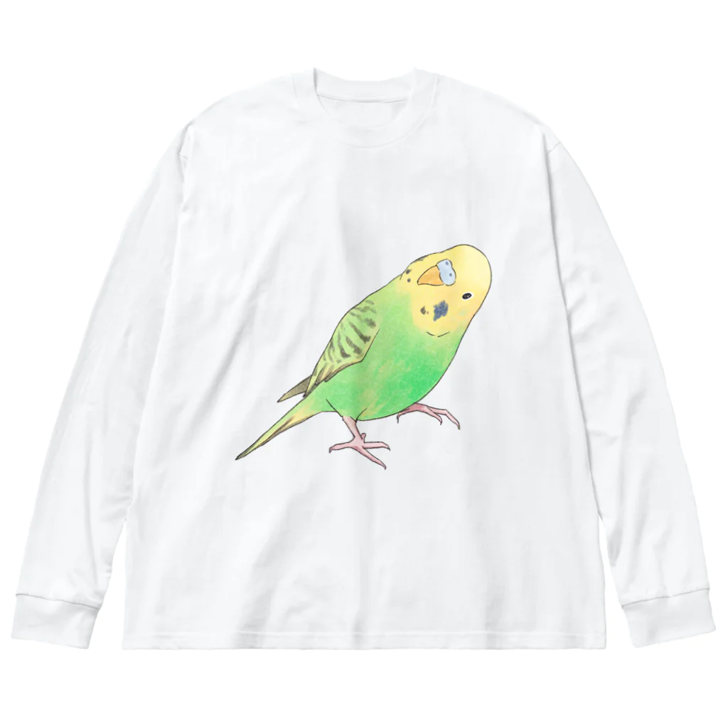 まめるりはことりの首傾げセキセイインコ　ピーちゃん【まめるりはことり】 Big Long Sleeve T-Shirt