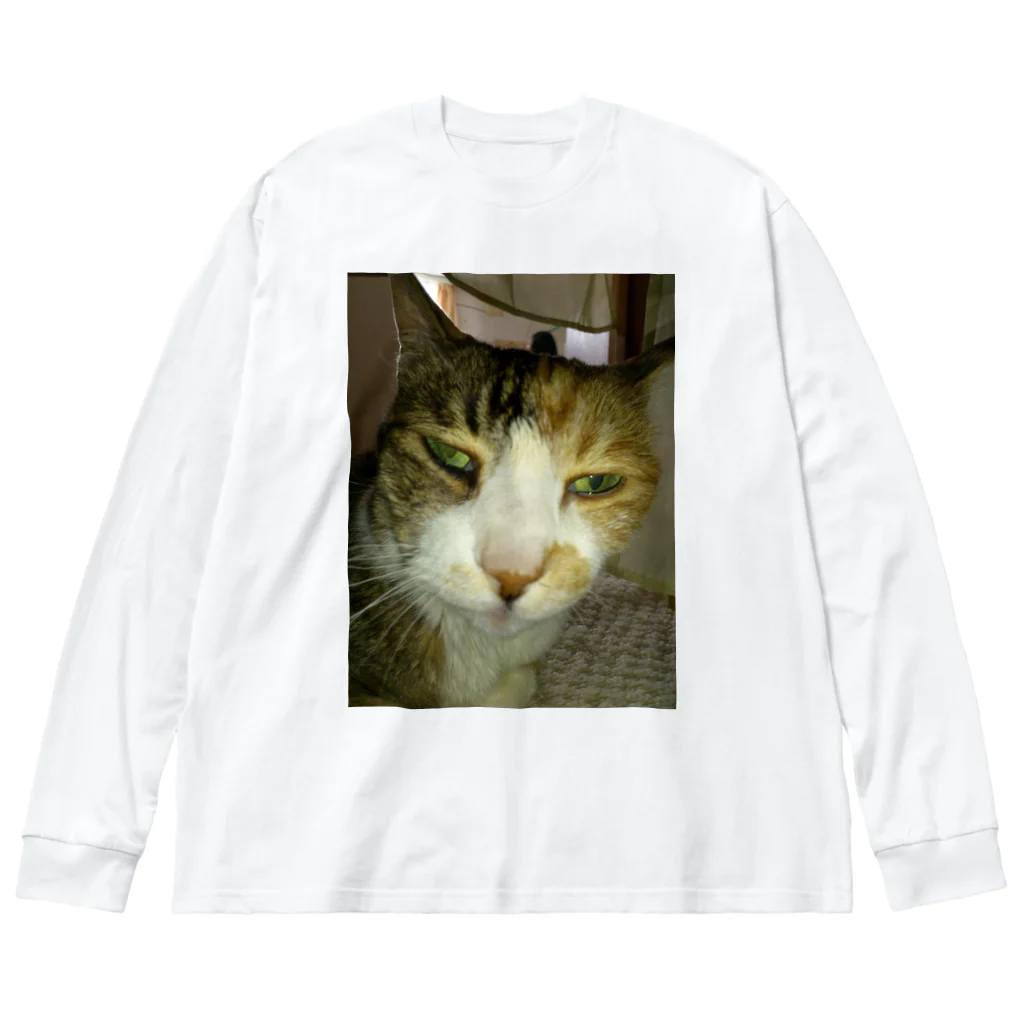 powpowの寝ぼけ猫 ビッグシルエットロングスリーブTシャツ