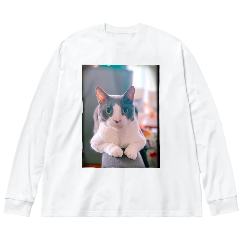 Rock in Catsの猫毛団のぽんちゃん Big Long Sleeve T-Shirt