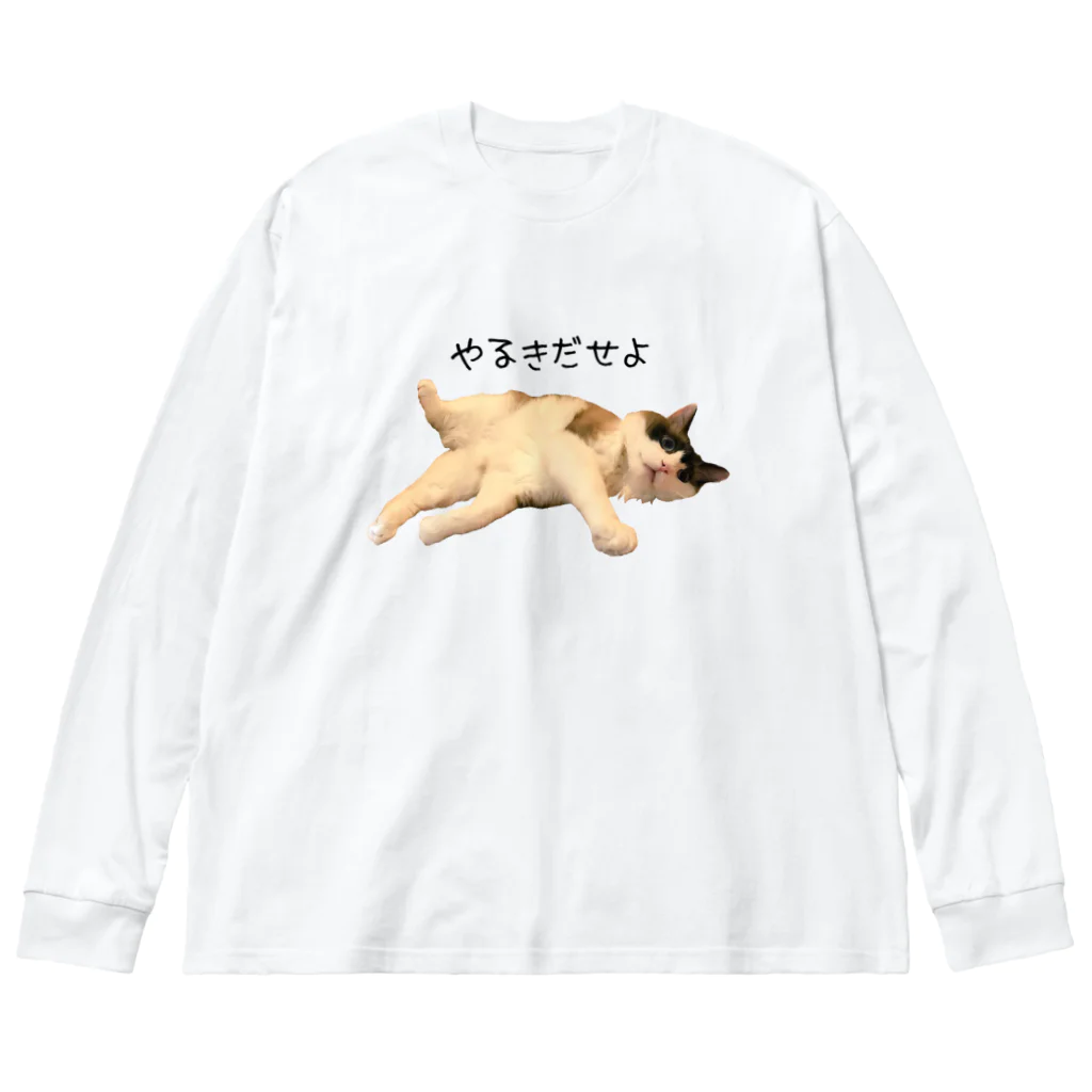 ANAN＠猫ひろしの人🥚🥚のやる気だせよ Big Long Sleeve T-Shirt