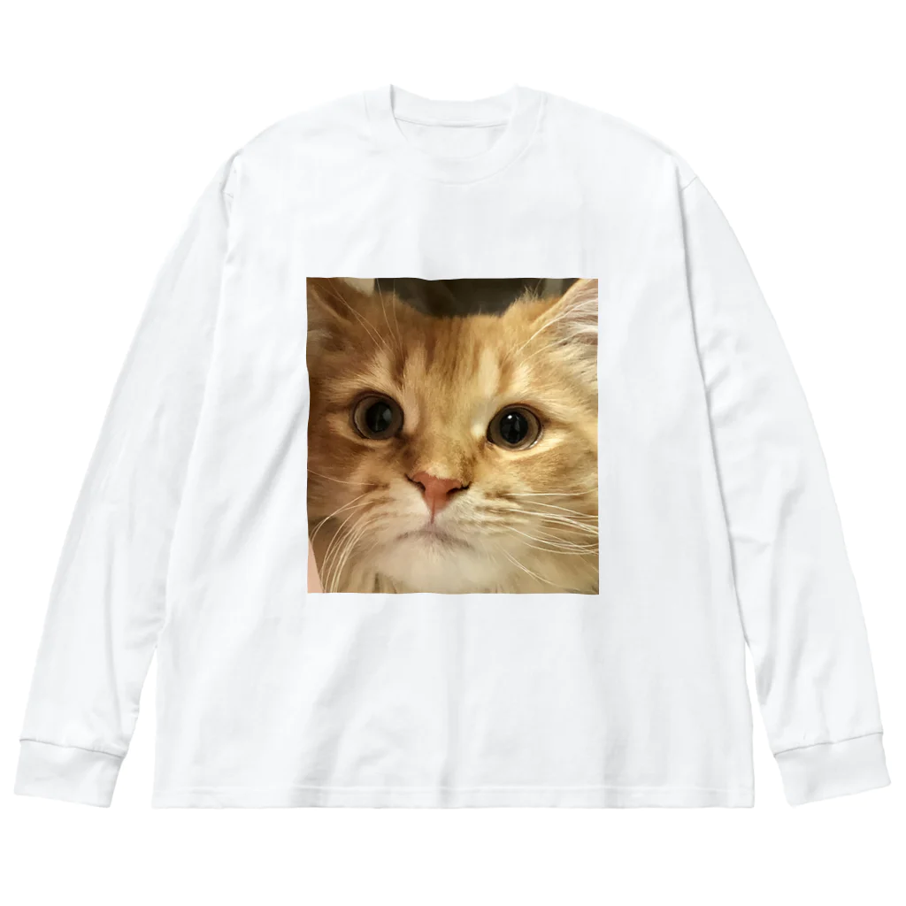 猫ちゃんの可愛いぬこちゃん ビッグシルエットロングスリーブTシャツ