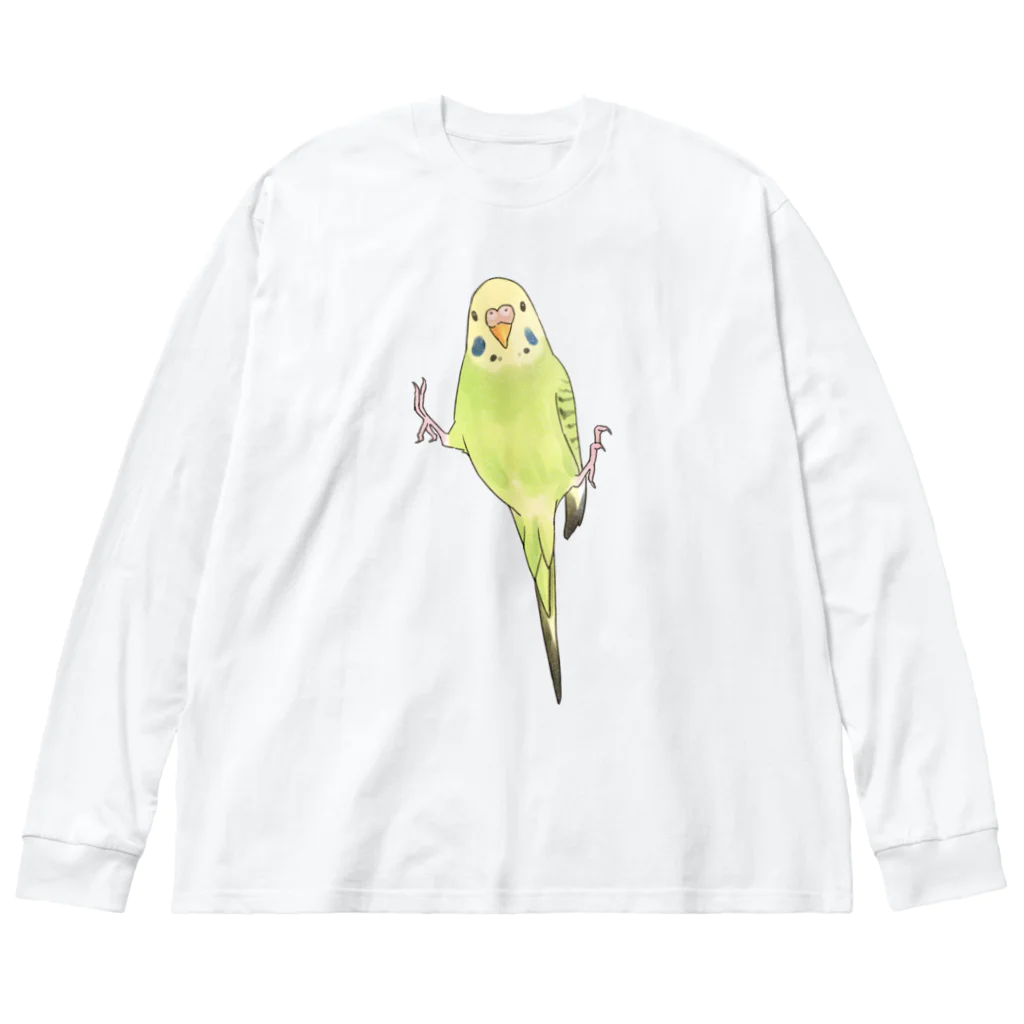 まめるりはことりのピタッとセキセイインコちゃん【まめるりはことり】 ビッグシルエットロングスリーブTシャツ