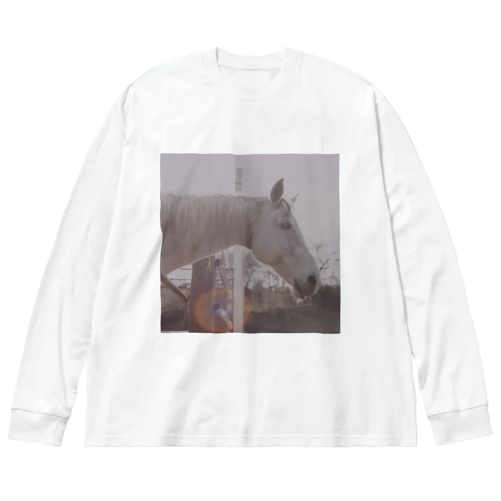 PORTONE, ART, LABORATORY.のSun and Horse ビッグシルエットロングスリーブTシャツ