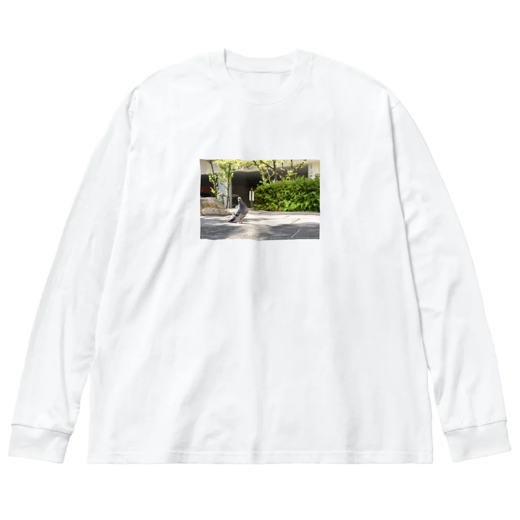 ひなたとひかげのLv99の鳩 Big Long Sleeve T-Shirt