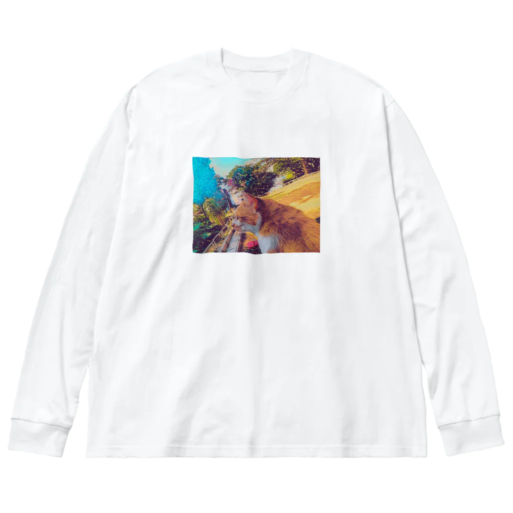 ひろん(沖縄の人のスマホ写etc…blog)のおきなわねこちゃん Big Long Sleeve T-Shirt