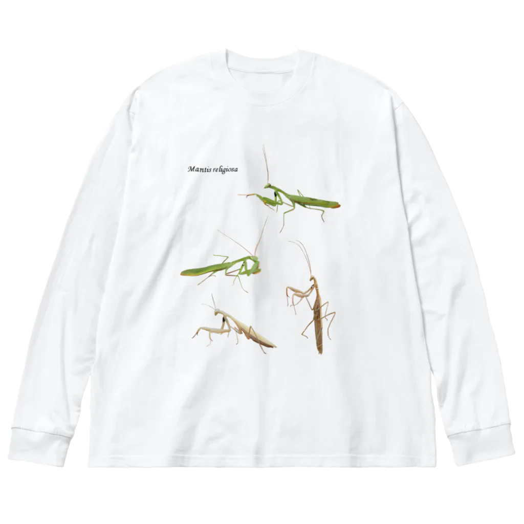 L_arctoaのウスバカマキリ（背景透過ver） ビッグシルエットロングスリーブTシャツ