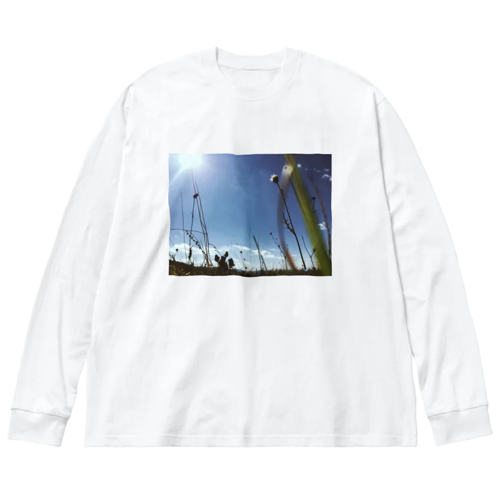 amの花 Big Long Sleeve T-Shirt