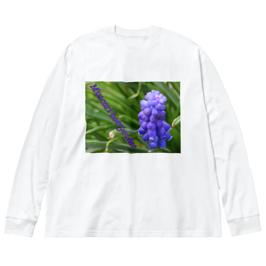 でおきしりぼ子の実験室のMuscari botryoides(4:3) ビッグシルエットロングスリーブTシャツ