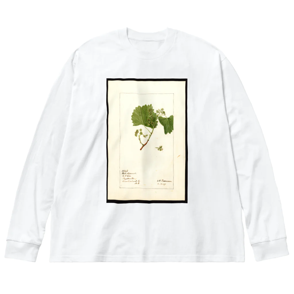 ArtShirtの Vitis: White Staminate ビッグシルエットロングスリーブTシャツ