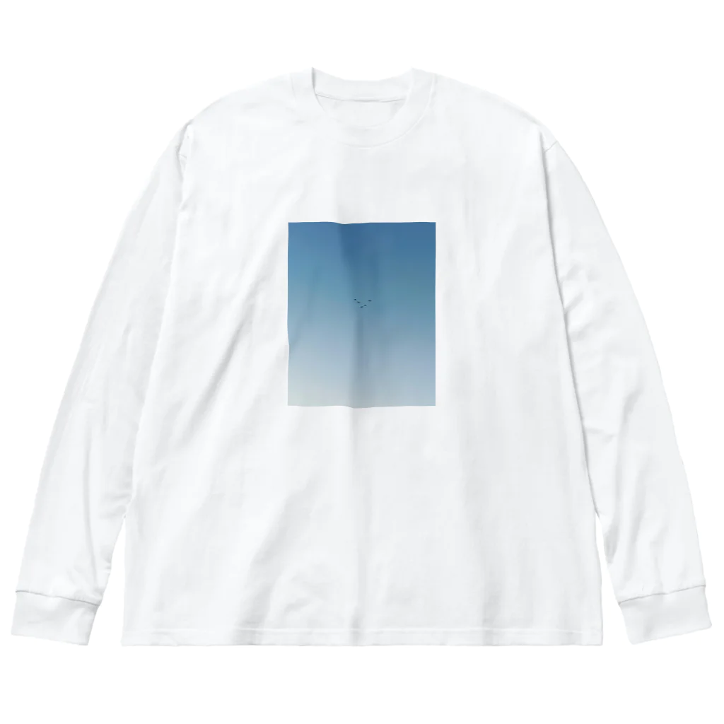 ほくとの鳥たち Big Long Sleeve T-Shirt