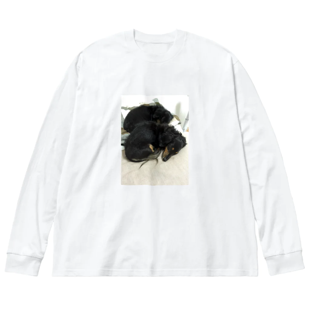 nellymeguのカニヘンダックス達 Big Long Sleeve T-Shirt