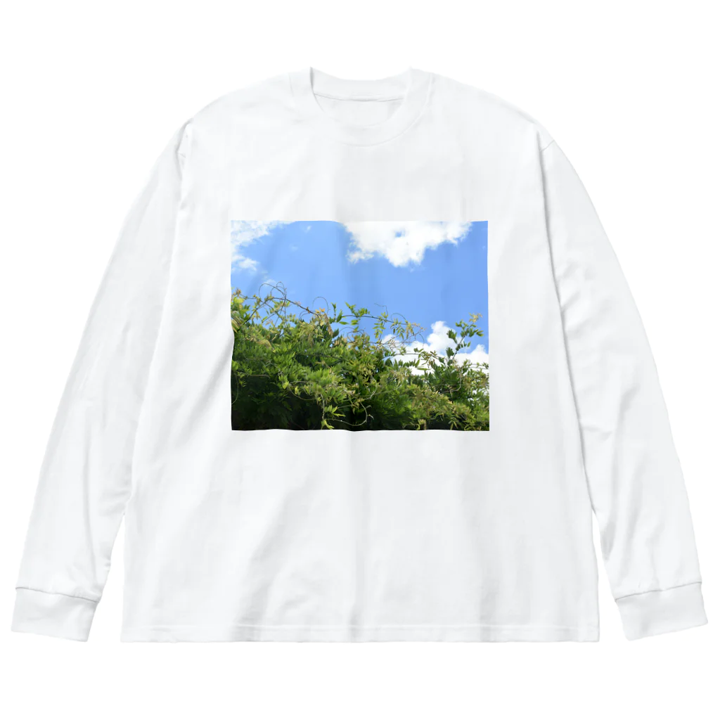 ぺてぃもーずのおみせのソラとハッパ Big Long Sleeve T-Shirt