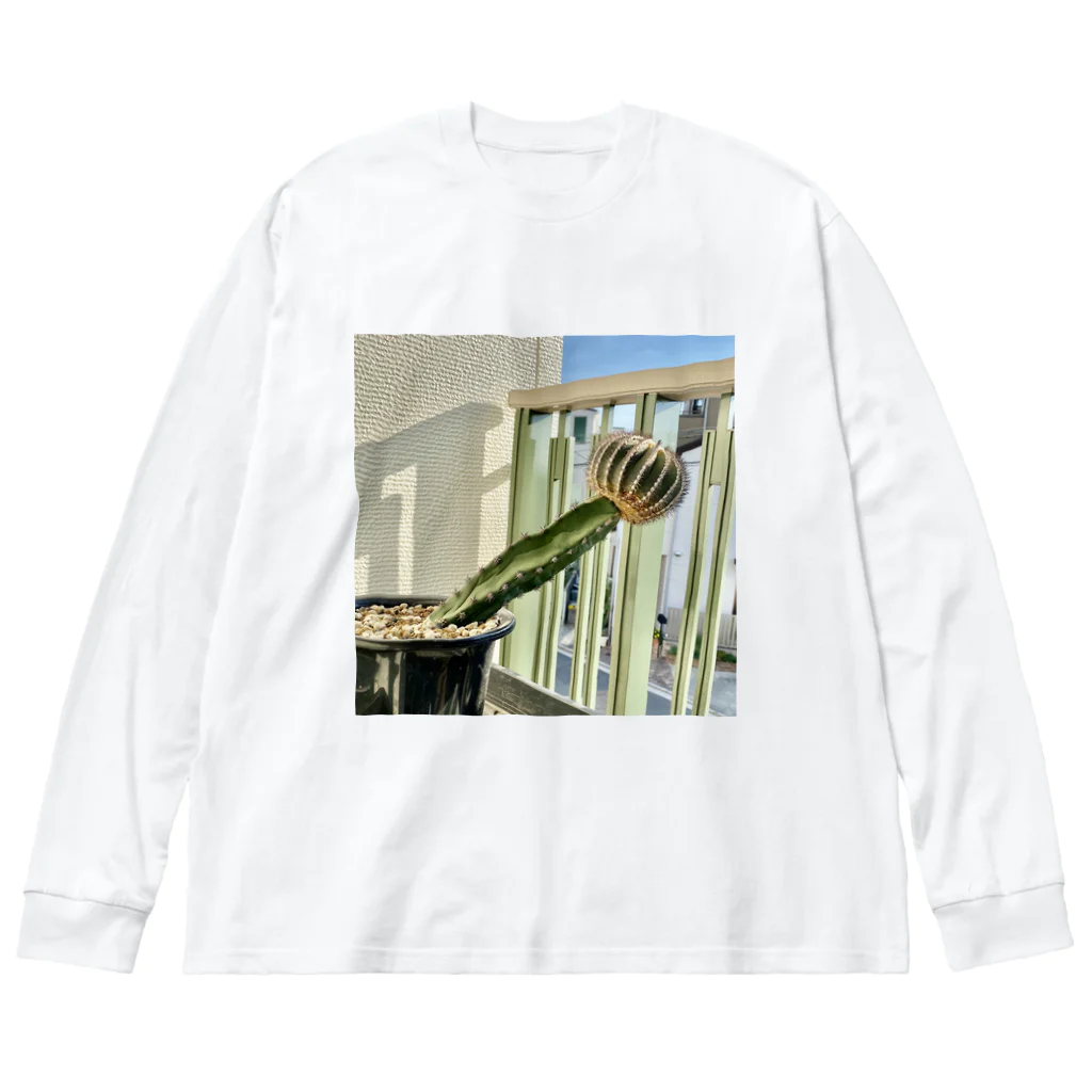 d ddのしりあがりさぼてん Big Long Sleeve T-Shirt