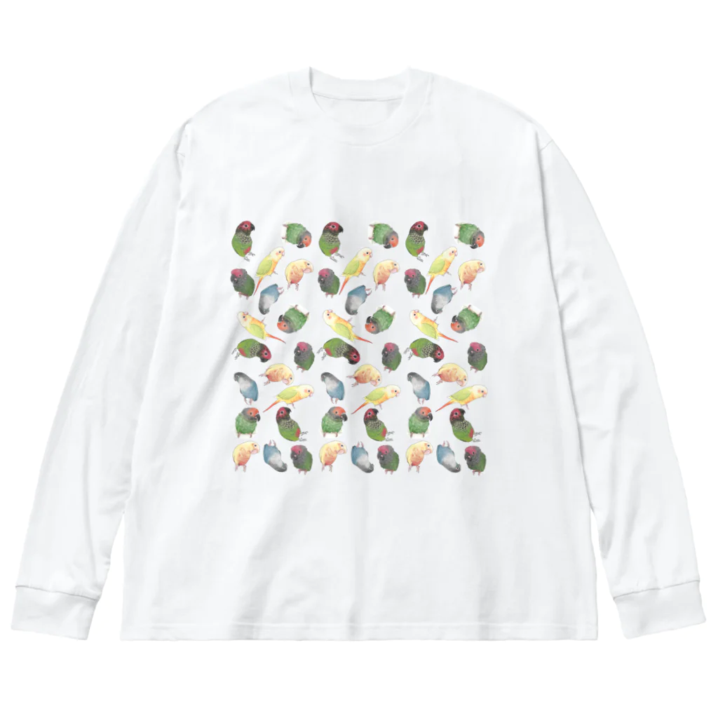 まめるりはことりのたっぷりウロコインコちゃん【まめるりはことり】 Big Long Sleeve T-Shirt