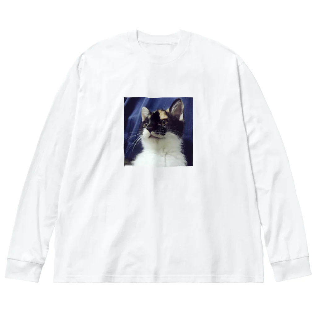 あ͓̽き͓̽ら͓̽の家にいるウリ Big Long Sleeve T-Shirt