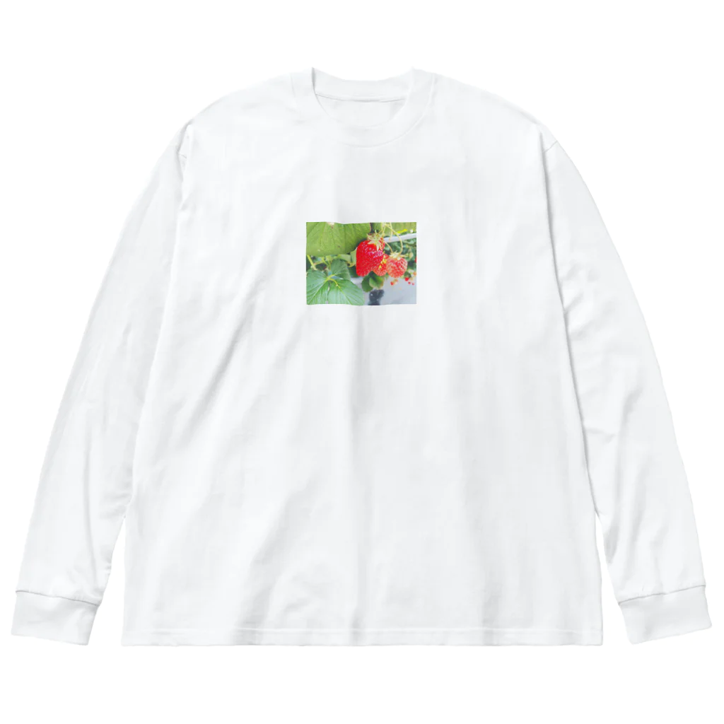 癒しショップのストロベリーちゃん Big Long Sleeve T-Shirt