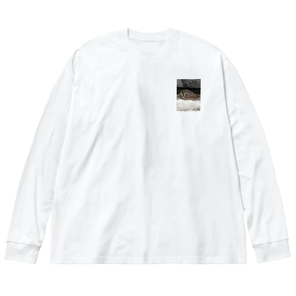 marron storeのあめふくらがえるのマロンです🌰 Big Long Sleeve T-Shirt