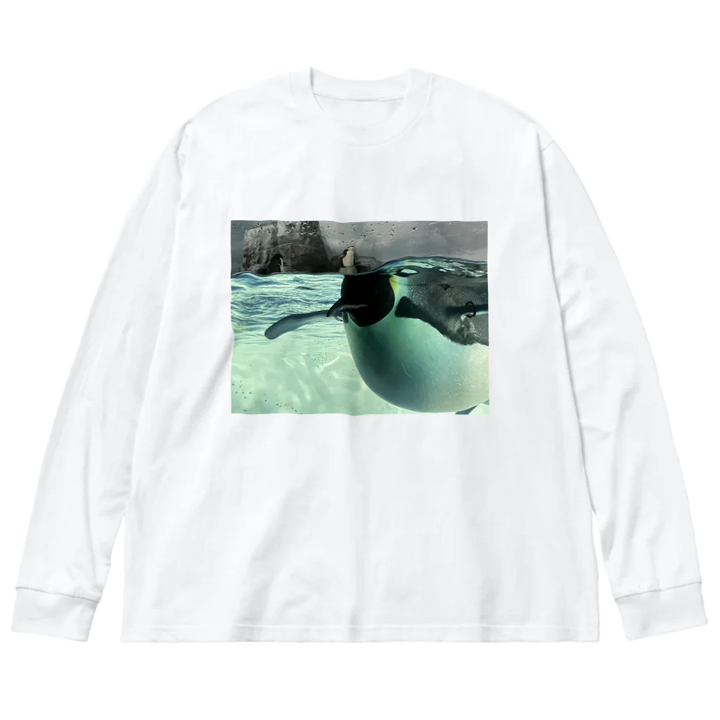 ペンギンの写真のコウテイペンギン　写真　リアル Big Long Sleeve T-Shirt