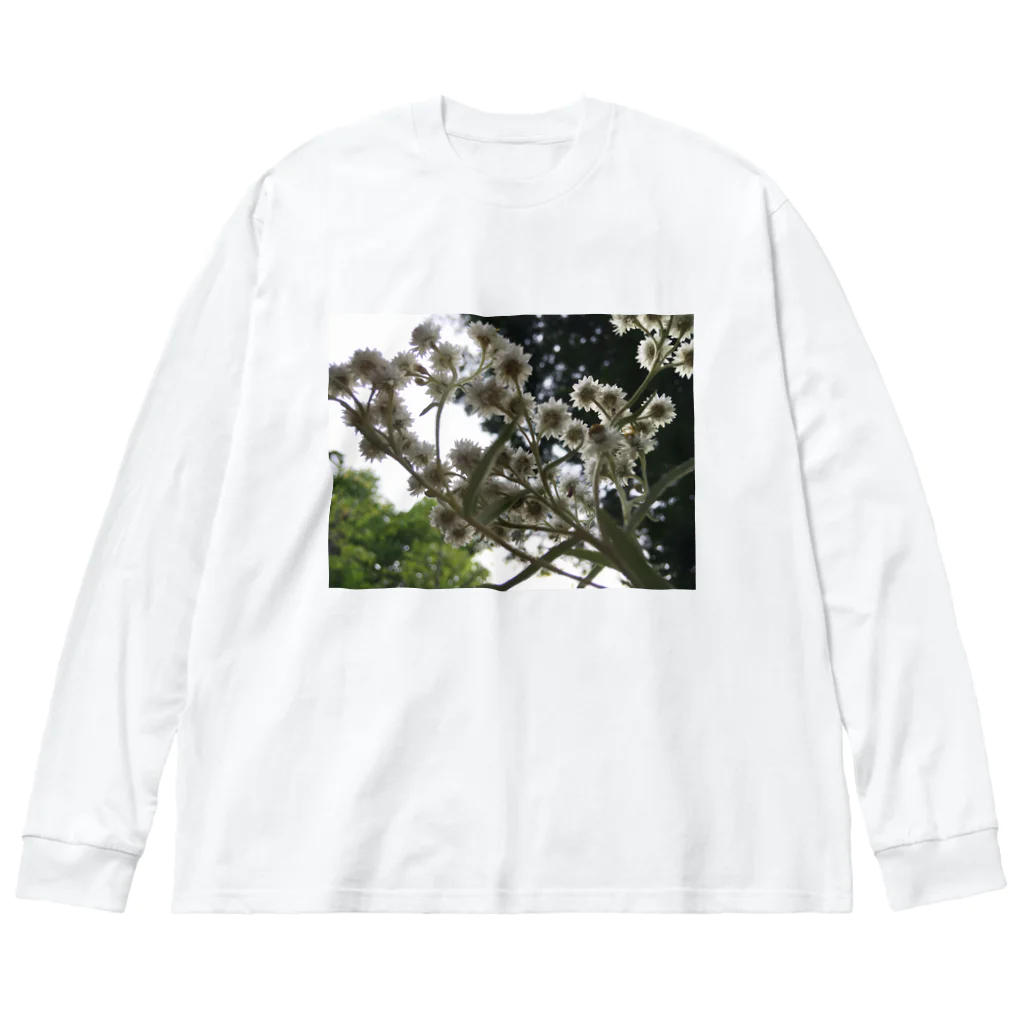 ノスタルジーテリアのflower wg Big Long Sleeve T-Shirt