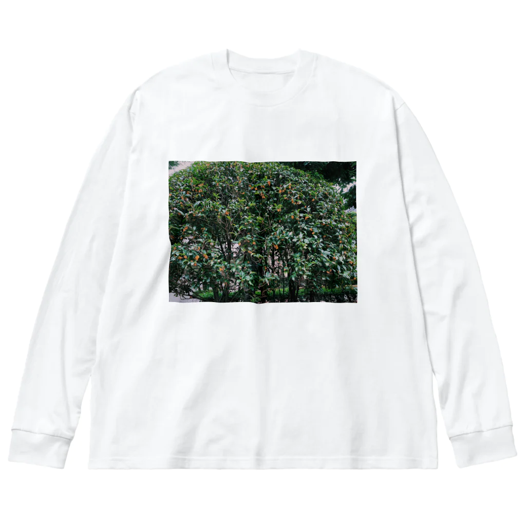 目黒川のキンモクセイ Big Long Sleeve T-Shirt