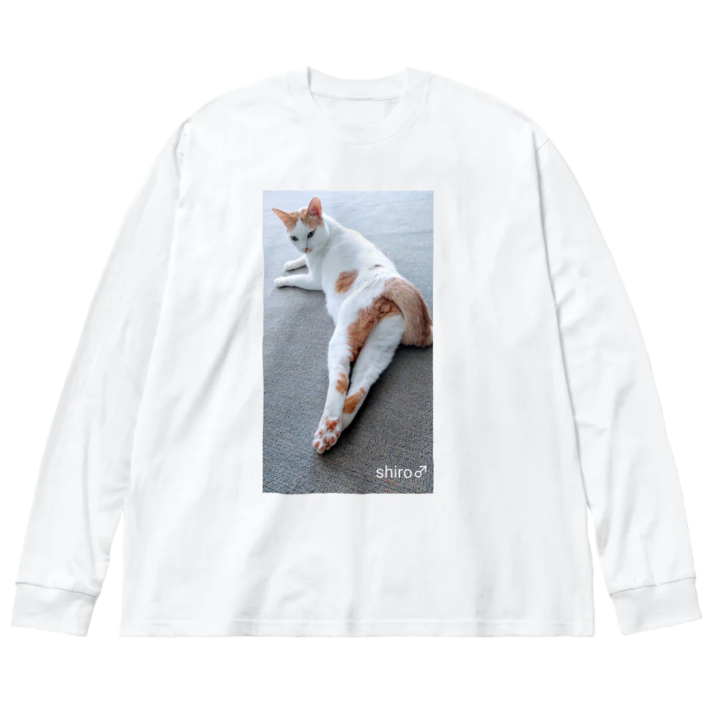 しろ＆たび　猫暮らしのグラビアデビュー　しろちゃん Big Long Sleeve T-Shirt