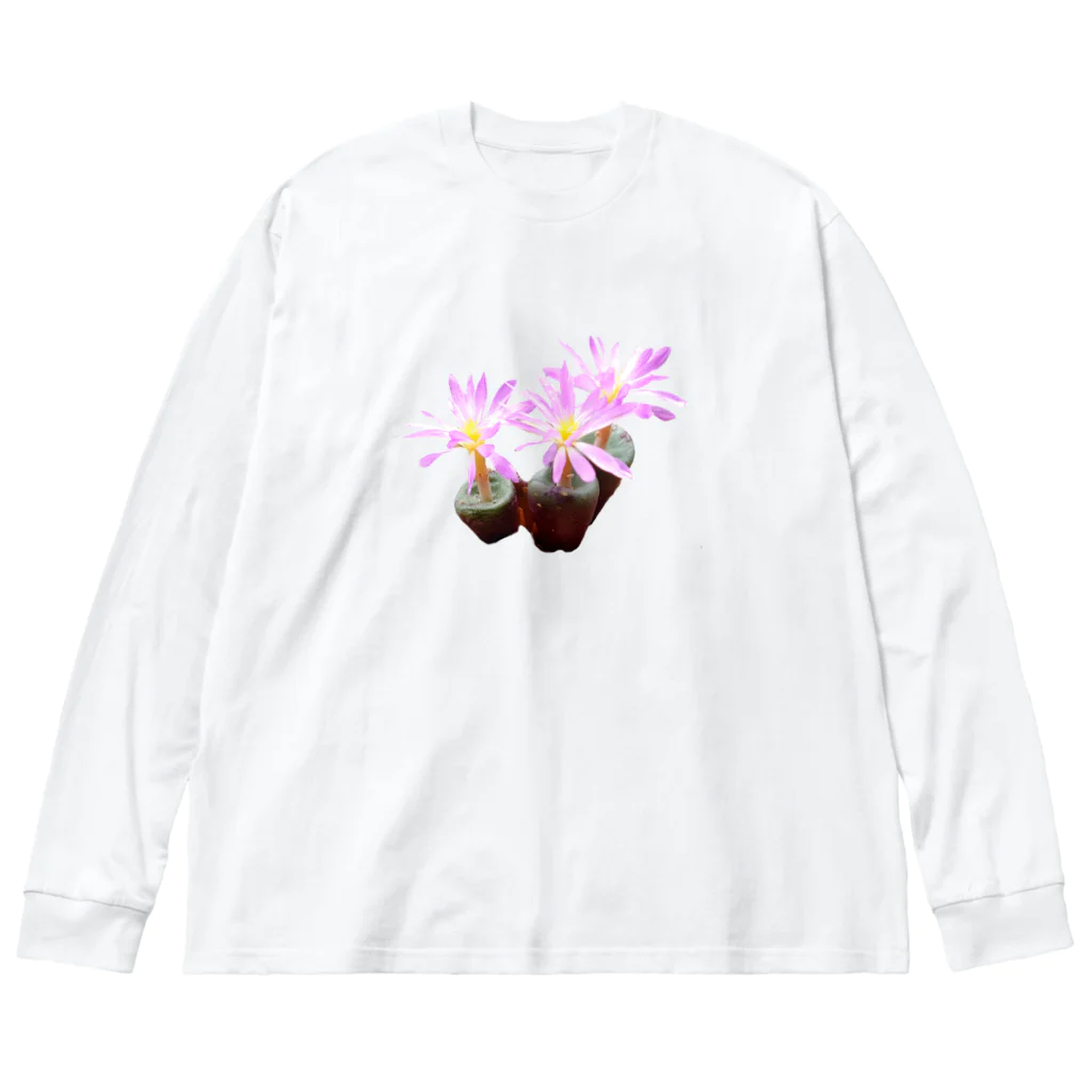 POJO  CACTUSの可憐な花 コノフィツム バリエンス 多肉植物 Big Long Sleeve T-Shirt