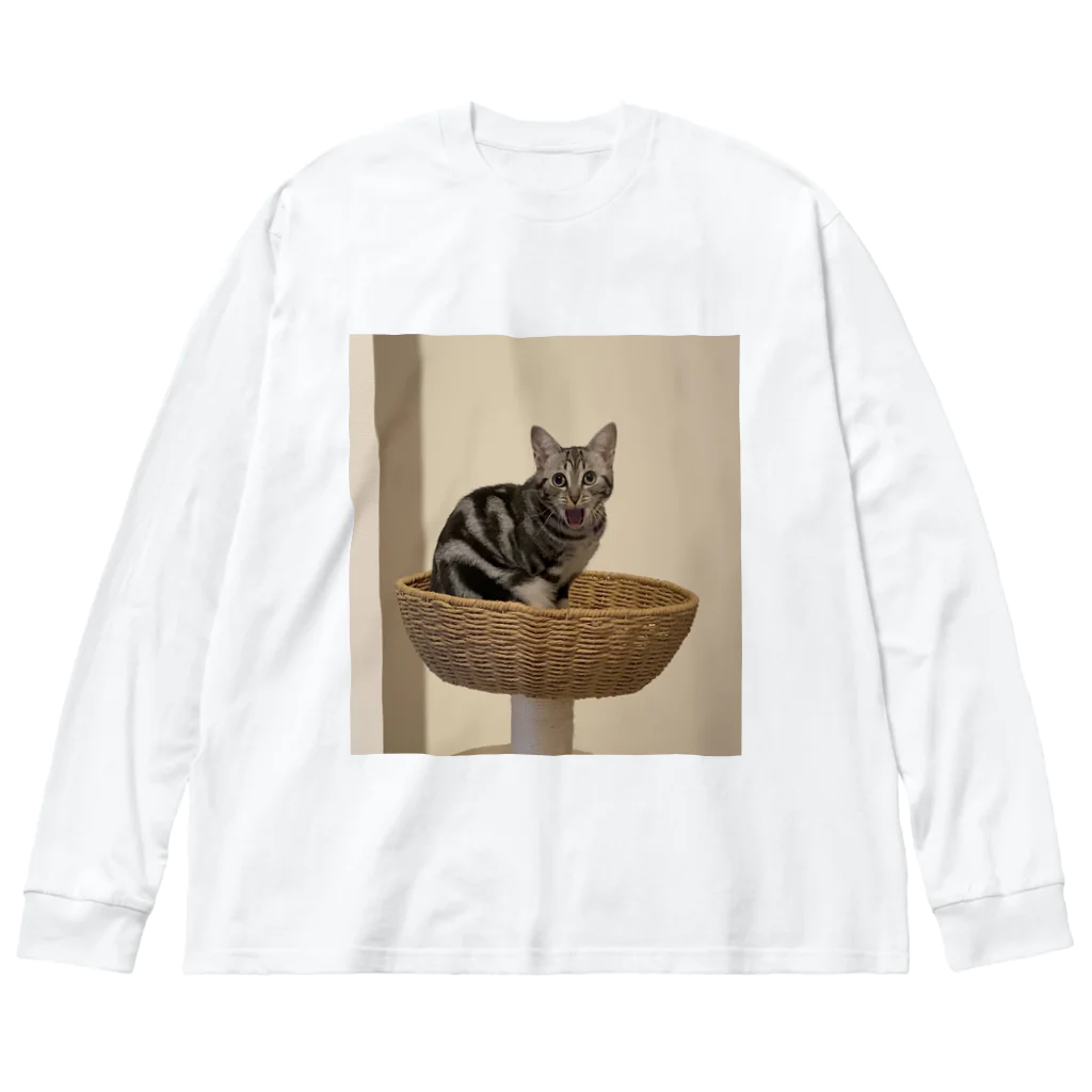 かかしたまごの猫アイーン ビッグシルエットロングスリーブTシャツ