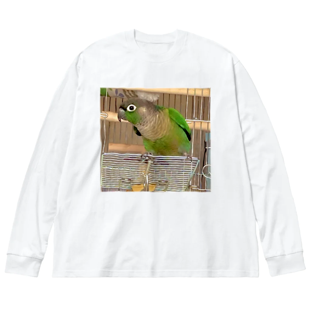 inko andのウロコインコのおーちゃん ビッグシルエットロングスリーブTシャツ