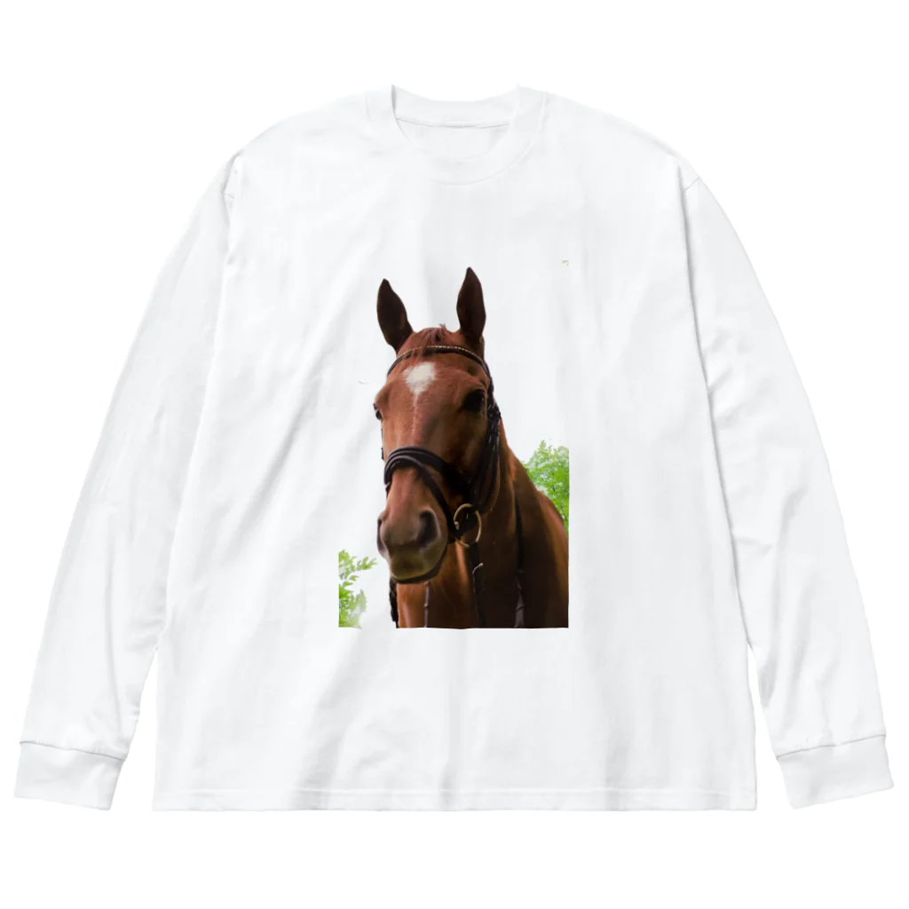 Teatime ティータイムの牧場 乗馬 馬術の馬 Big Long Sleeve T-Shirt