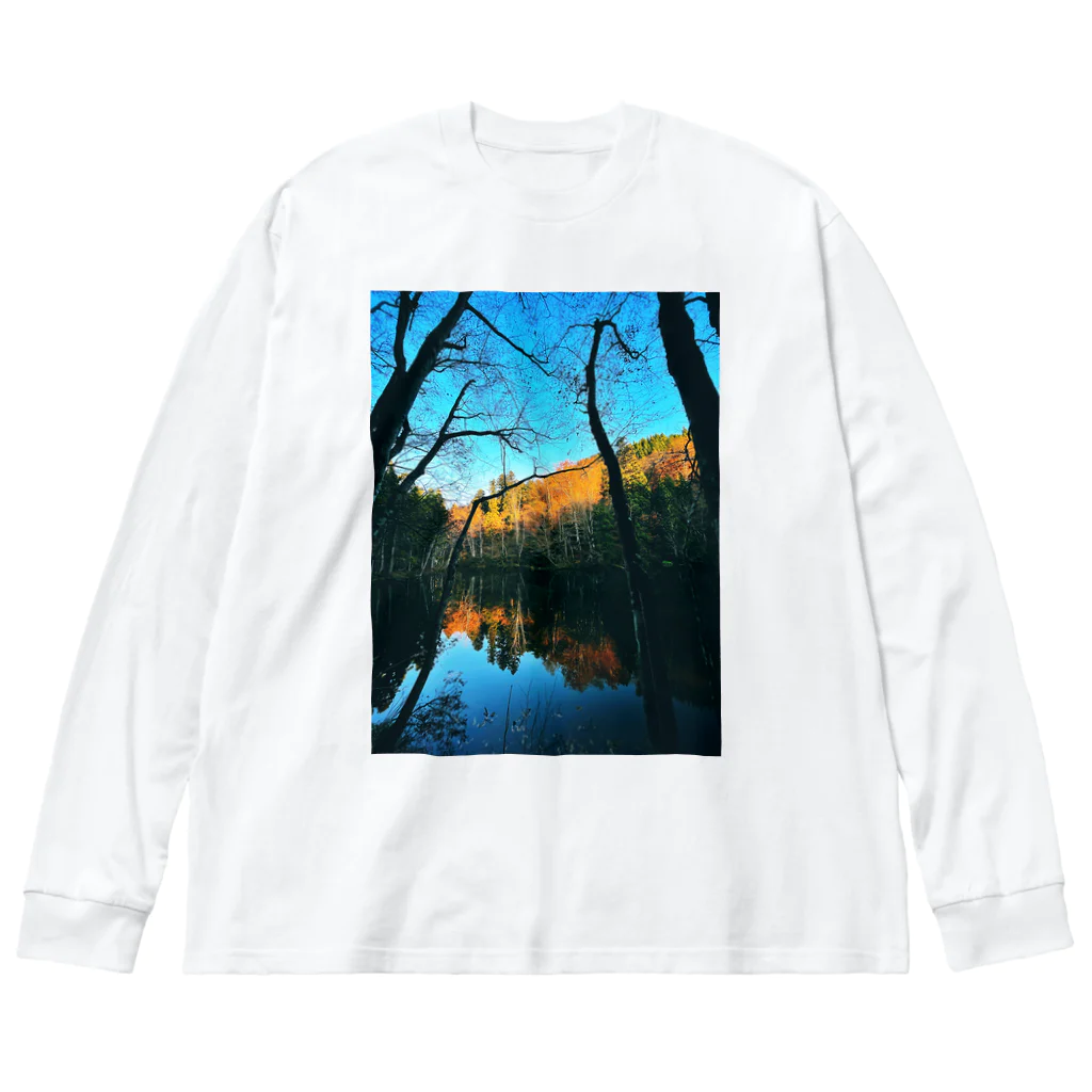 SwellのColor of the Forest ビッグシルエットロングスリーブTシャツ