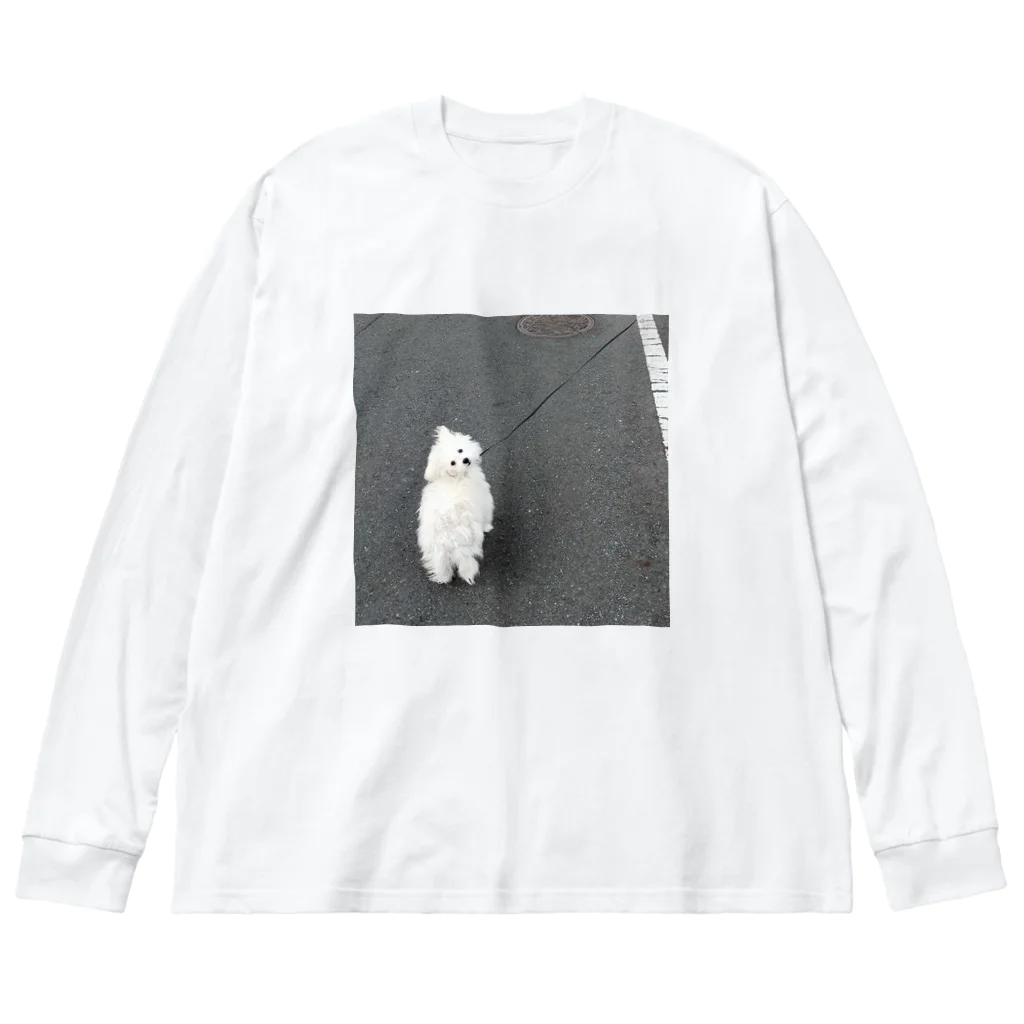 chehongmanのおさんぽ Big Long Sleeve T-Shirt