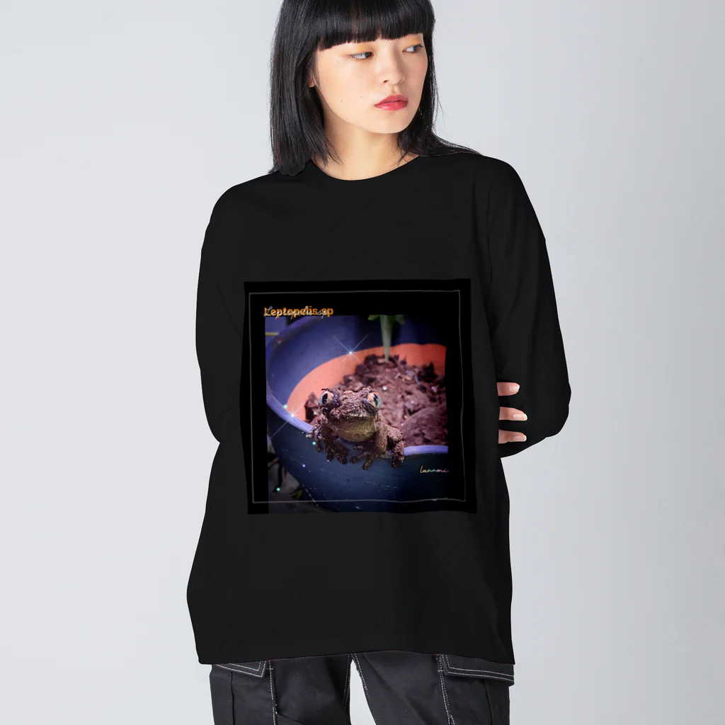 るなるなのオオクサガエルsp(Leptopelis sp) Big Long Sleeve T-Shirt