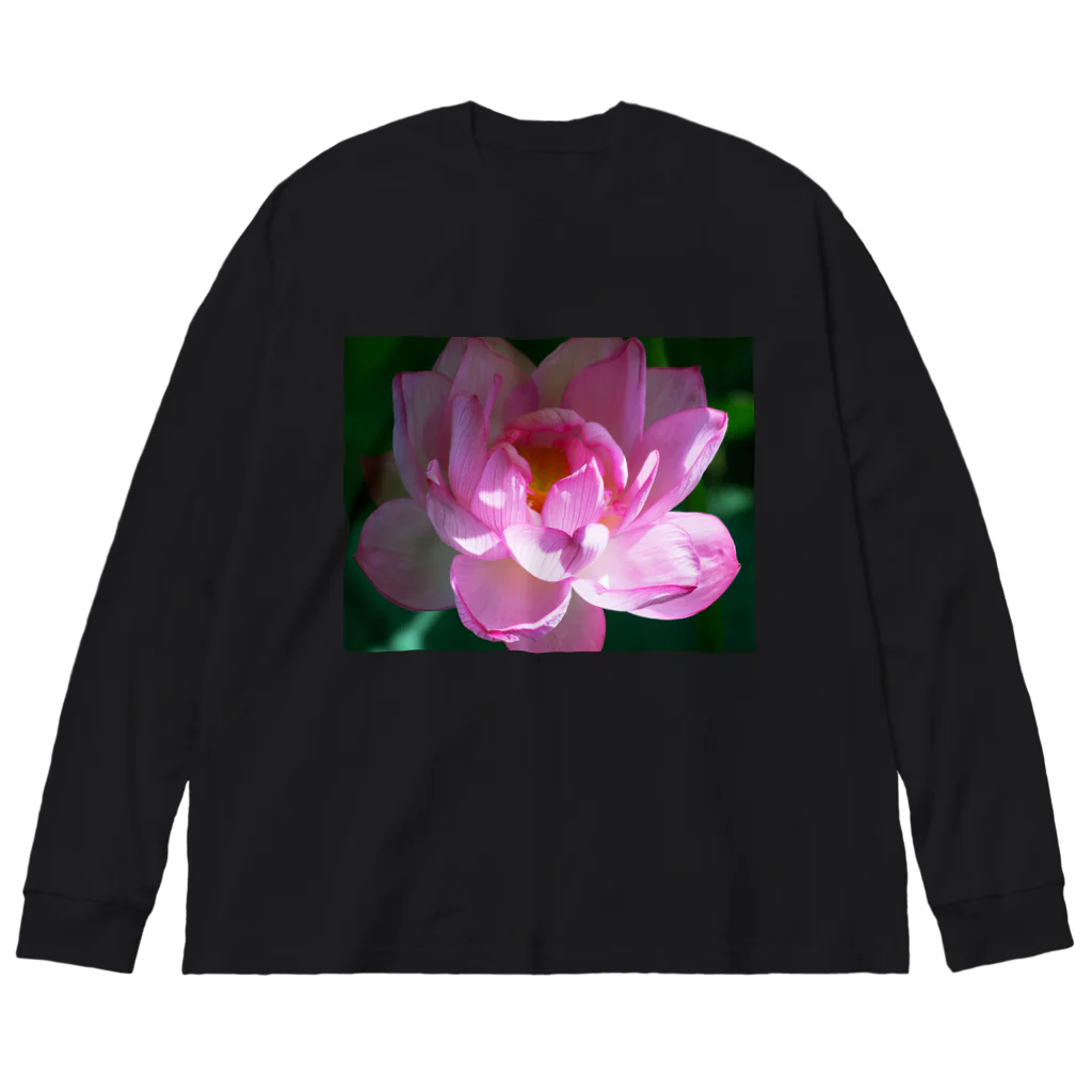 akane_art（茜音工房）の癒しの風景（ハス） Big Long Sleeve T-Shirt