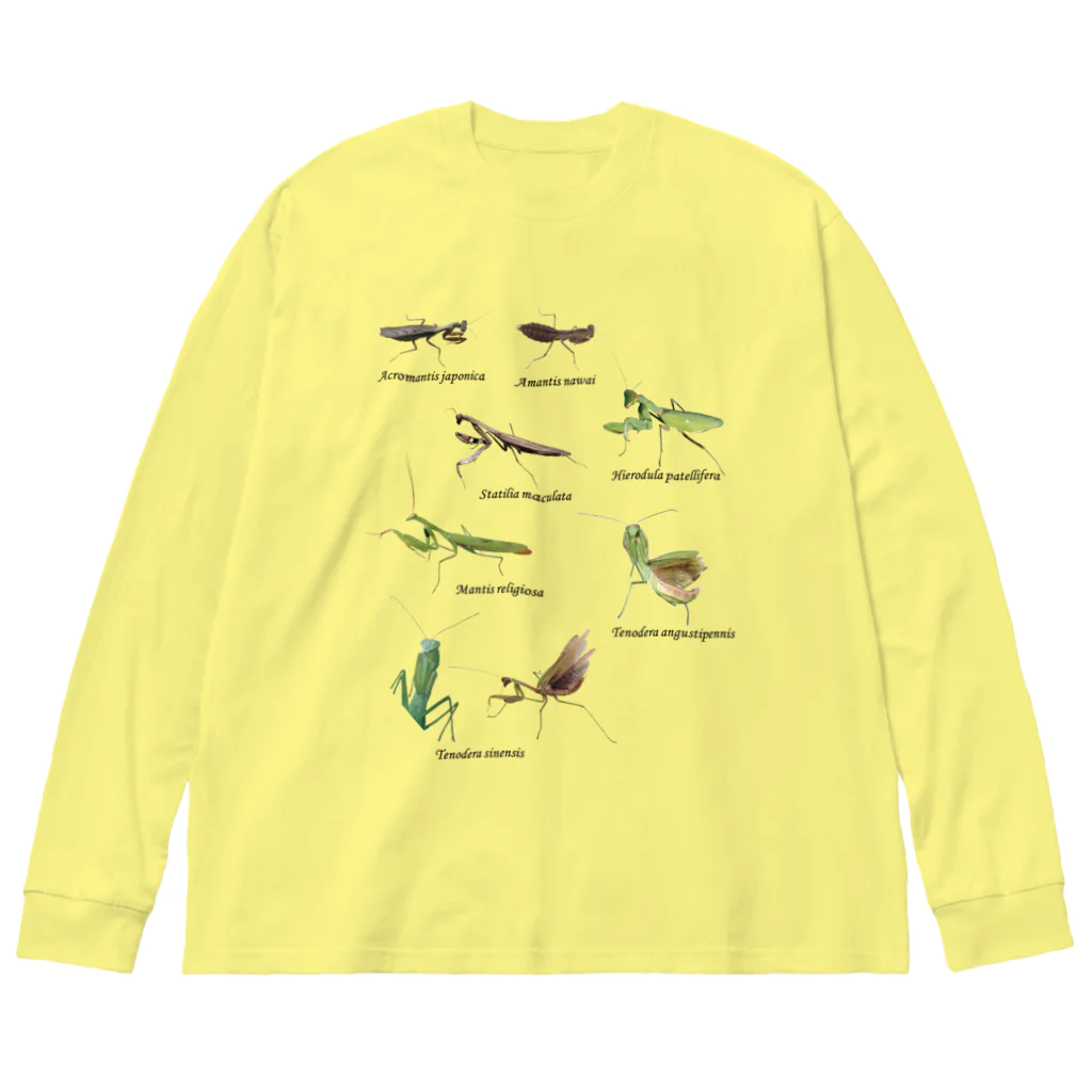 L_arctoaの関東のカマキリ Big Long Sleeve T-Shirt