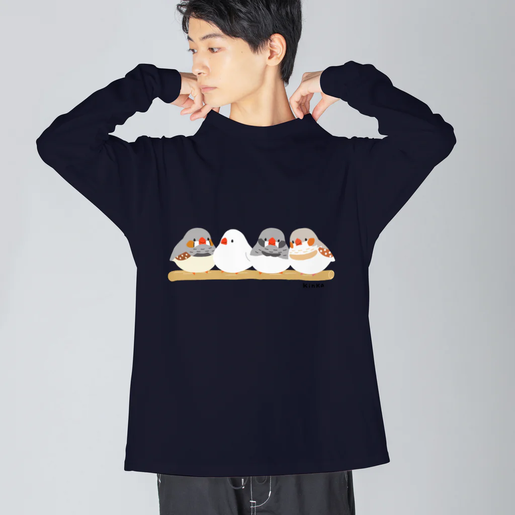 TeaDrop.Cのキンカチョウ Big Long Sleeve T-Shirt