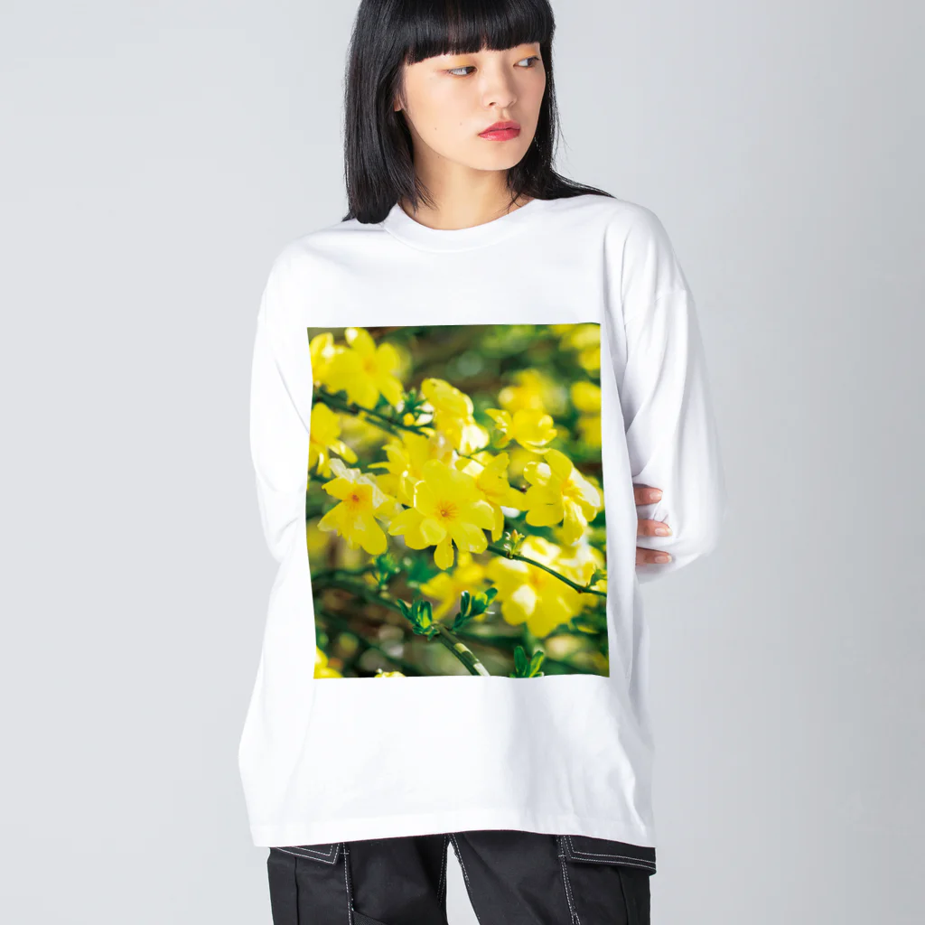 akane_art（茜音工房）の癒しの風景（オウバイ） ビッグシルエットロングスリーブTシャツ