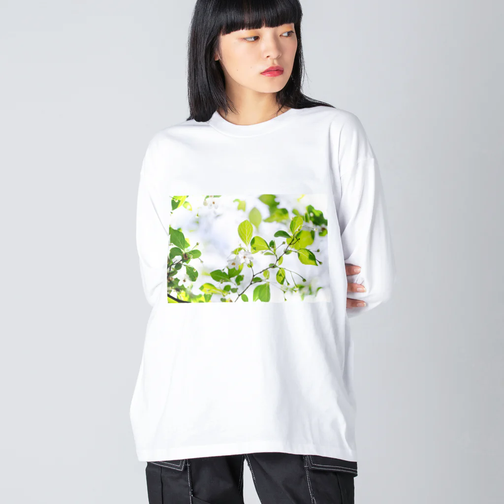 akane_art（茜音工房）の癒しの風景（エゴノキ） ビッグシルエットロングスリーブTシャツ