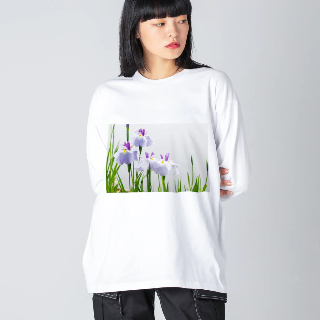 akane_art（茜音工房）の癒しの風景（花菖蒲） ビッグシルエットロングスリーブTシャツ