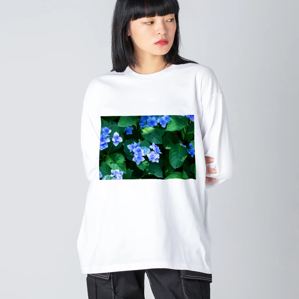 akane_art（茜音工房）の癒しの風景（アジサイ） Big Long Sleeve T-Shirt