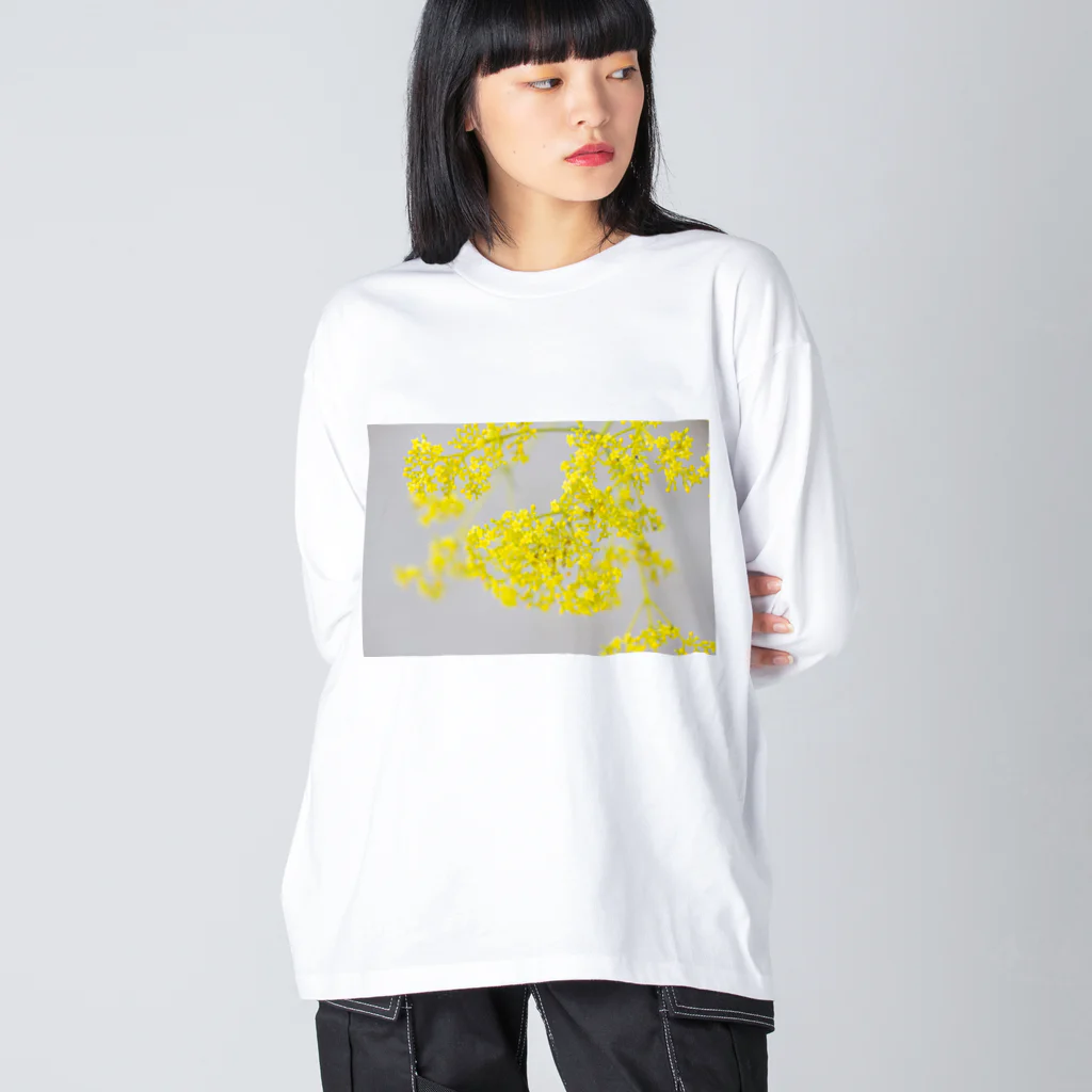 akane_art（茜音工房）の癒しの風景（オミナエシ） Big Long Sleeve T-Shirt