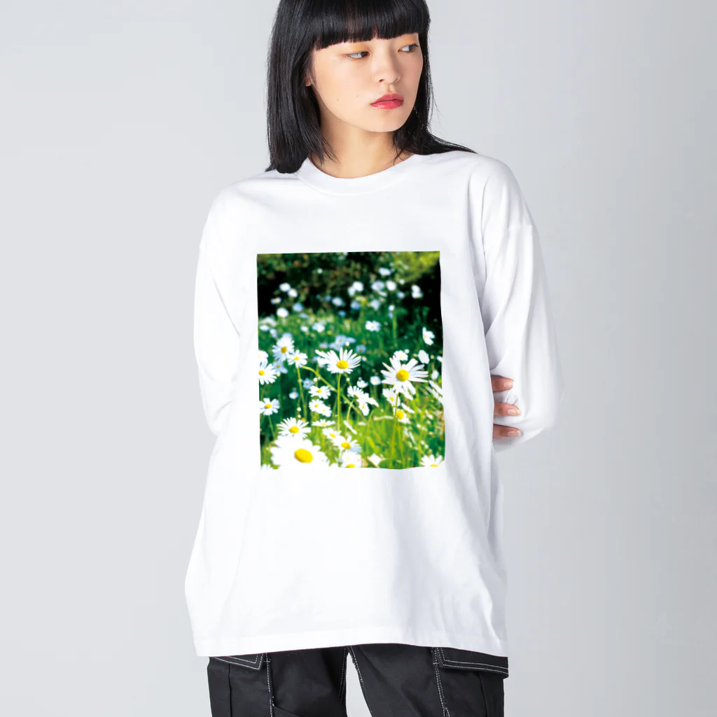 akane_art（茜音工房）の癒しの風景（シャスタデイジー） Big Long Sleeve T-Shirt