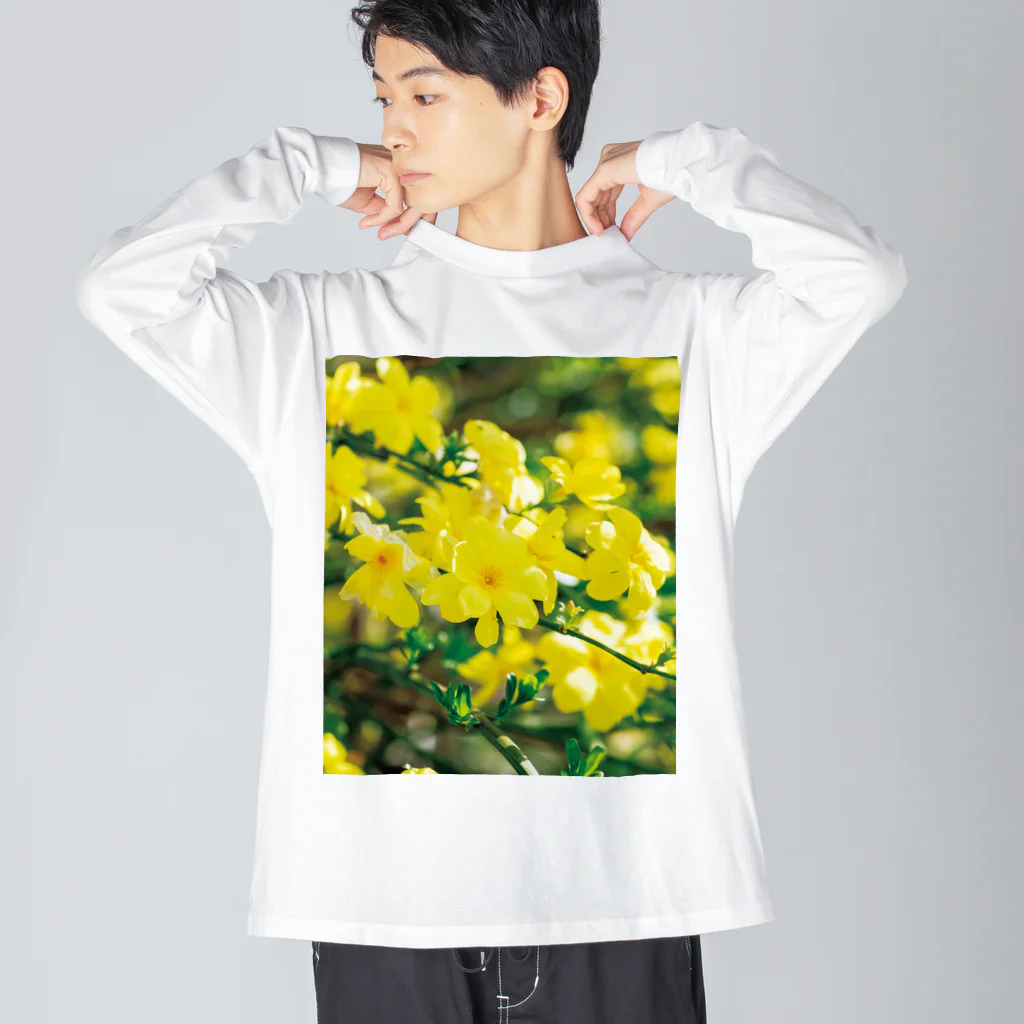 akane_art（茜音工房）の癒しの風景（オウバイ） Big Long Sleeve T-Shirt